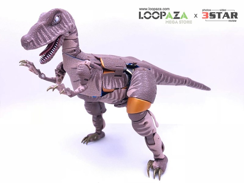 Masterpiece MP 41 Beast Wars Dinobot In Hand Photos   And Demo Videos 01 (1 of 19)